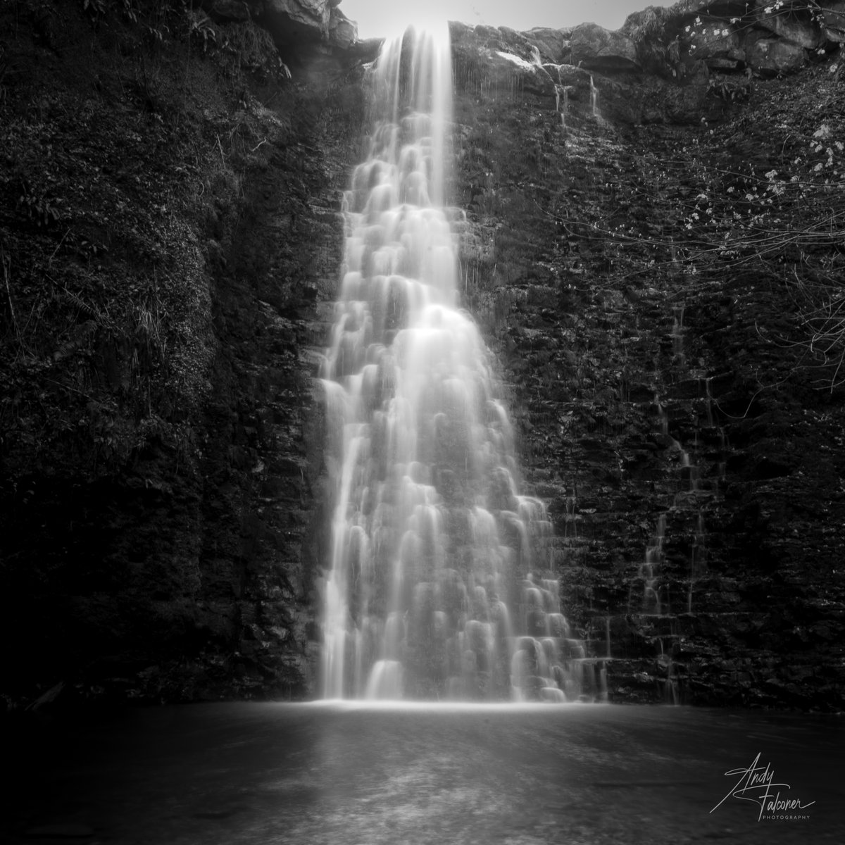 FalconerPhotos's tweet photo. Falling Foss Waterfall near Whitby.
#NorthYorkMoors #FallingFoss #waterfall #waterfalls #nikond750 #YorkshireLife https://t.co/F7uOika5aI