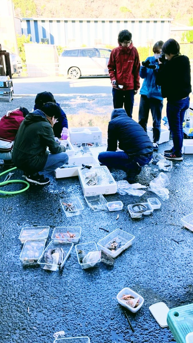 shinkaigyo_ch's tweet photo. College students interested in deep-sea creatures helped organize my sample storage freezer. thank you everyone!
#Japan,#Shizuoka,#Heda,#Deep_Sea,#Deep_Sea_Fish,#Suruga_Bay,#Traditional_Trawl_Fishing,#Tokyo_University_of_Agriculture,#Shizuoka_University,#Nihon_University https://t.co/mAVzA3GYzo