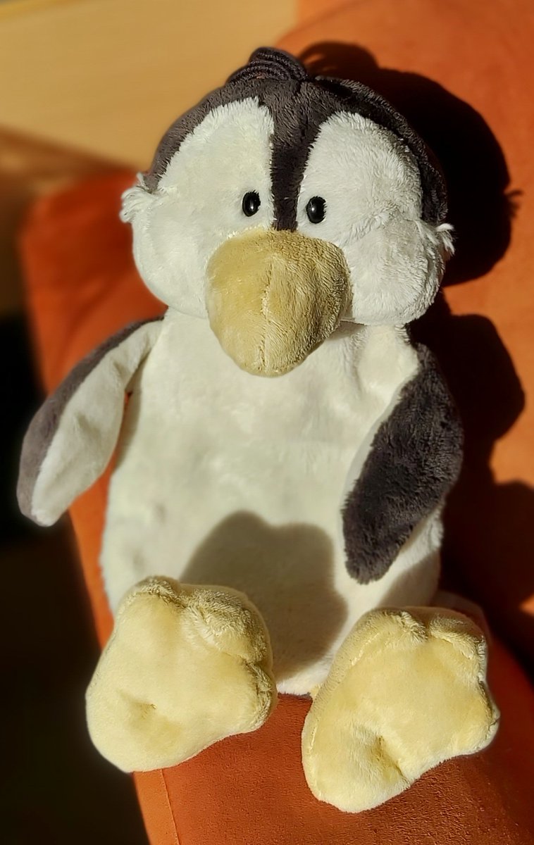 Frido🐧: Ähm, *hüstel* Hallo?👀👋