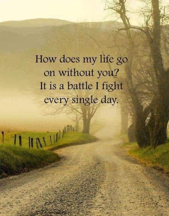 DollRoberts's tweet photo. This grief journey isn't getting any easier. 6 weeks today, and I admit I have cried every single day of those 6 weeks. My heart has broken everyday in those 6 weeks. 💔💔😁 https://t.co/pTYhHf40re