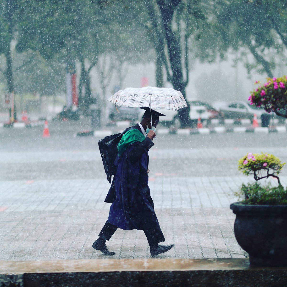 unimalaya's tweet photo. He braced the rainy day alone and determined, for he knew of the destination. It was the grand hall that welcomed him on his very first day, and now this hallowed place will celebrate his moment of victory.
Photo by Mohd Fazli Zainordin
#umconvocation
#VarsitiKesayanganku https://t.co/m4mYciml9P