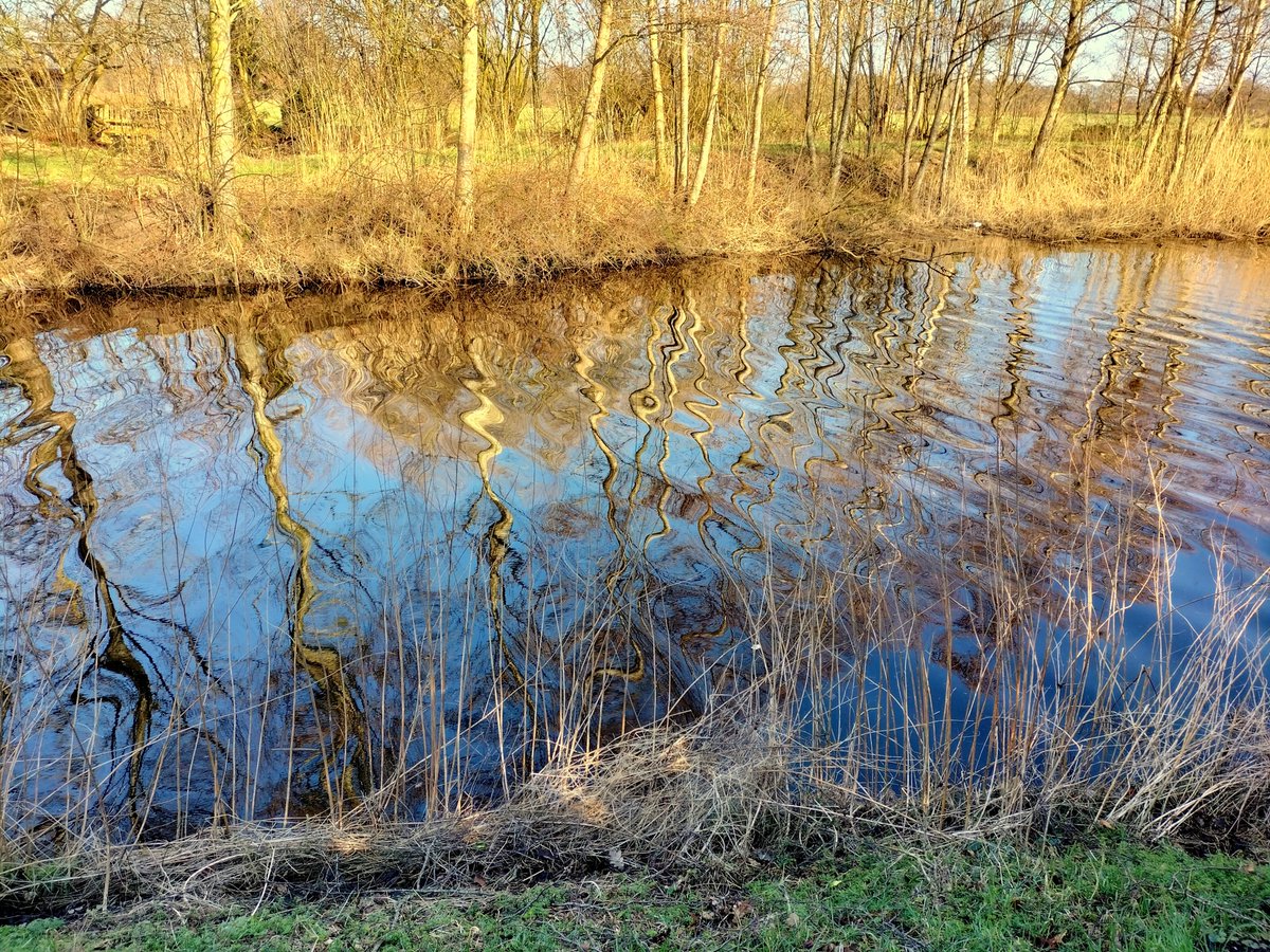 foto_ihlow's tweet photo. Der Ringkanal in Ihlow.      Foto: Wittwer  #photos #fotografia #fotografie #ostfrieslandfotos #heimat  #picture #PictureOfTheDay #NaturePhotograph  #Ihlow  #Niedersachsen link:  https://t.co/UOdwXcob18 https://t.co/Fu4SMpndEM
