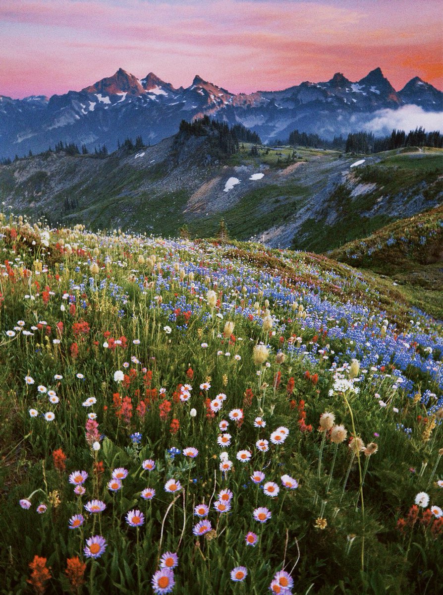 eremikacore's tweet image. this world is cruel but i still love you