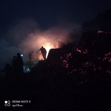 HeyitsBunny3's tweet photo. #151515
IndianArmy provided assistance to locals of village Seer in extinguishing forest fire at #Aripal, #Pulwama.
#KashmirAgainstTerror
#FailedStatePakistan https://t.co/1myycLkV7n