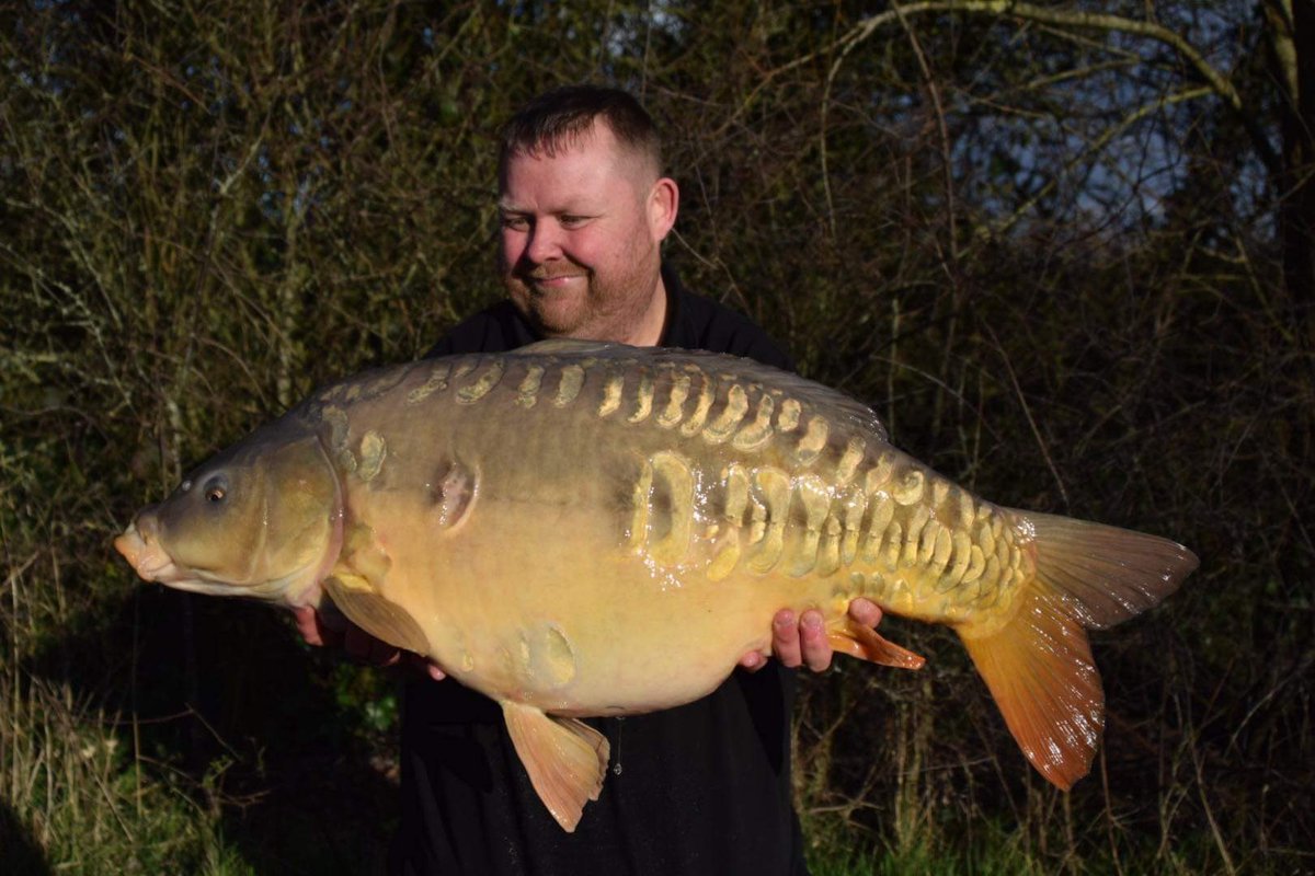 chris dyke tweet media