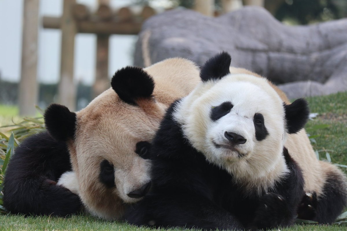 🤱あゆん🤱 tweet media