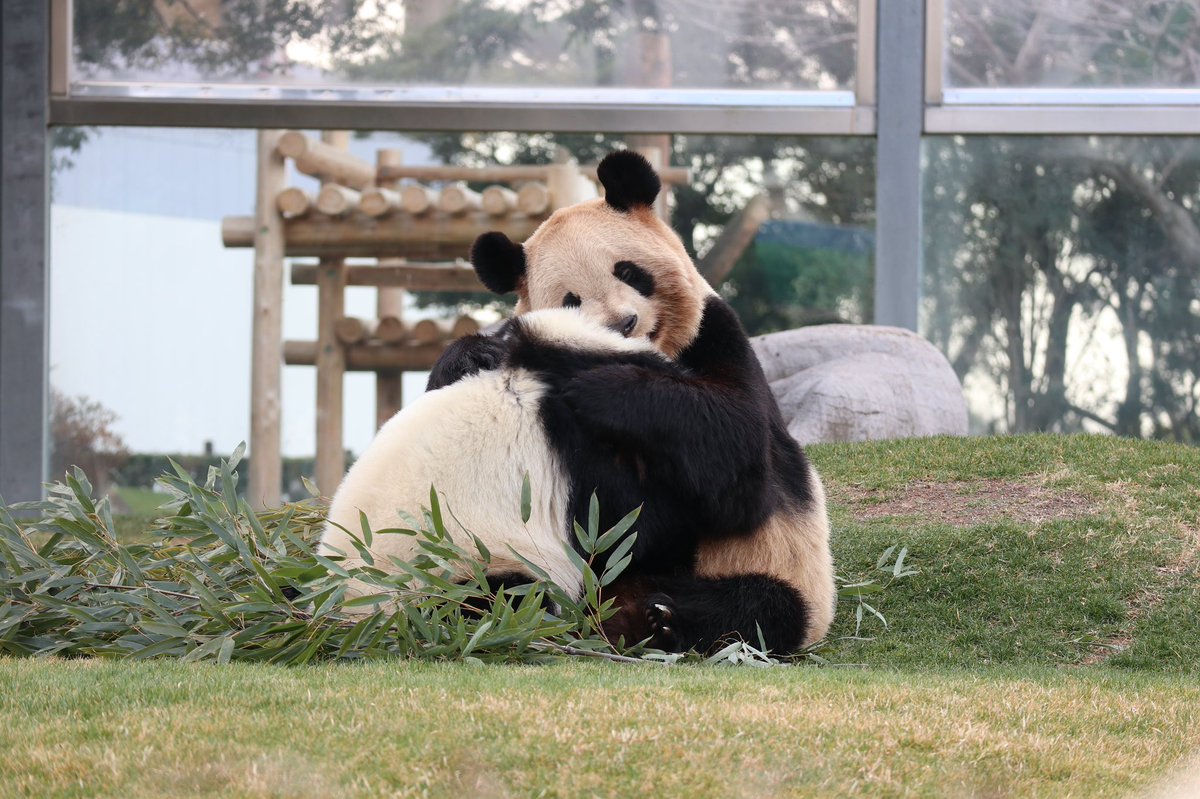 🤱あゆん🤱 tweet media