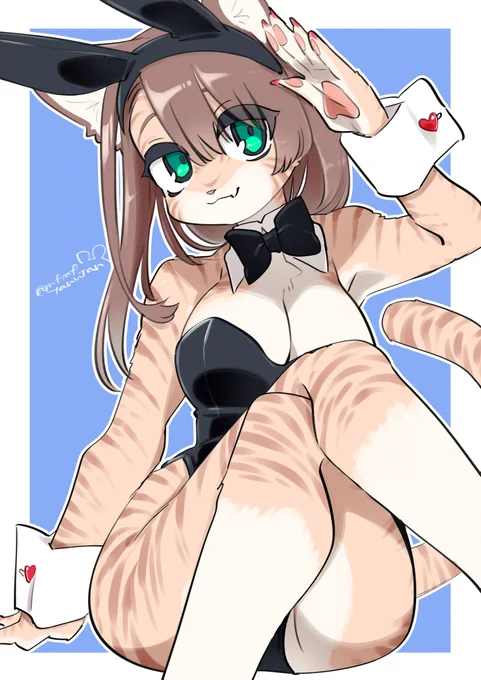 🐱 