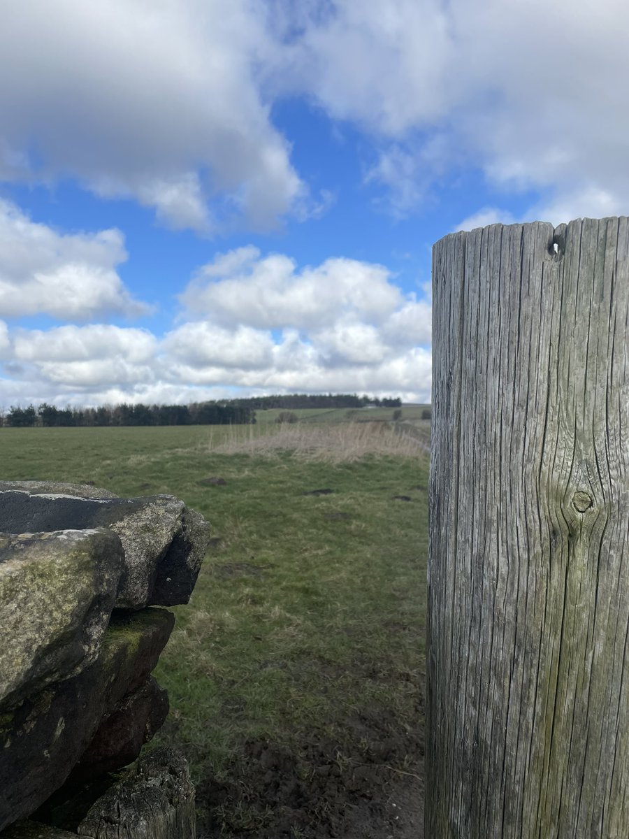 keogh_sara's tweet photo. Skort & long sleeve or leggings & vest? Sun had almost gone in by the time I’d decided 🤣🤣 #inbetweenseasons #layering #springnearlysprung https://t.co/zx0QTNGFz2