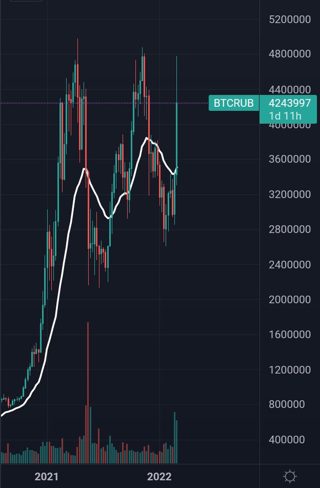 Luca Coluccio tweet media