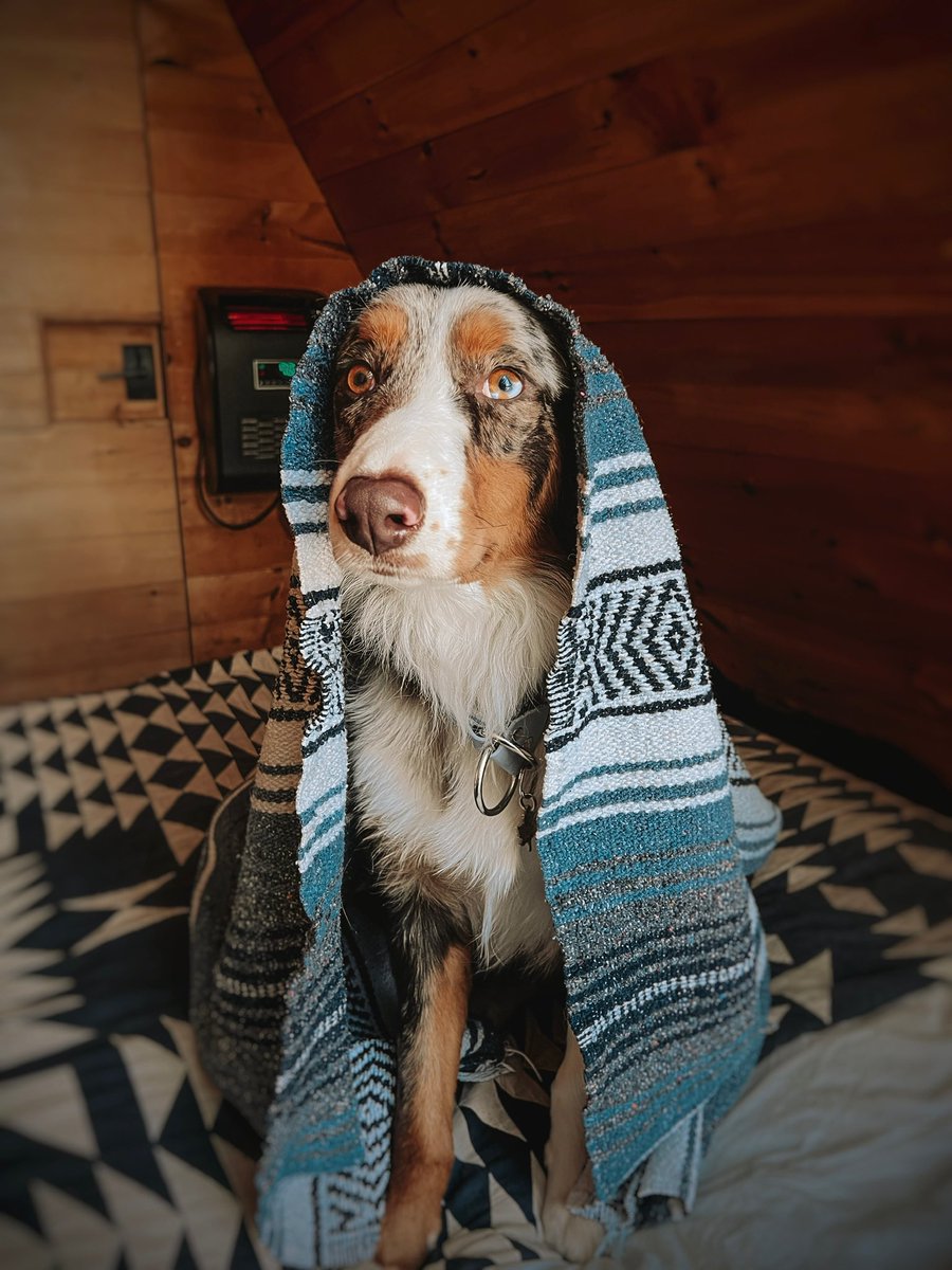 Opie Remy & Melo tweet media