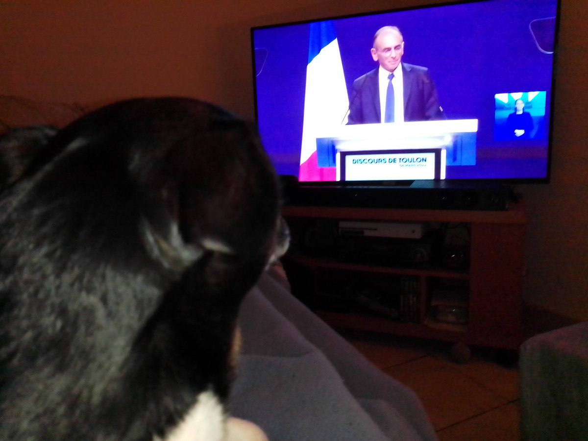 🇨🇵 Dédé 🇫🇷♿ tweet media