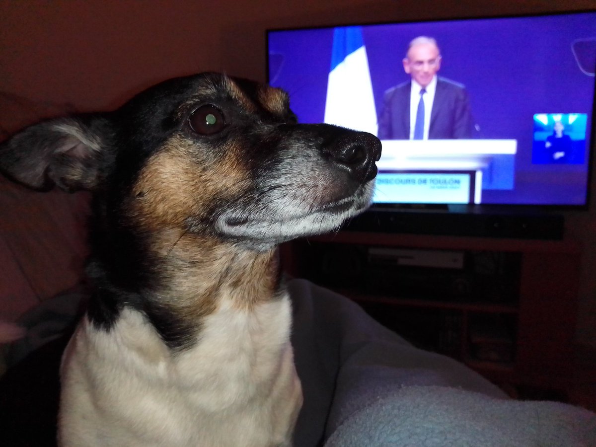 🇨🇵 Dédé 🇫🇷♿ tweet media