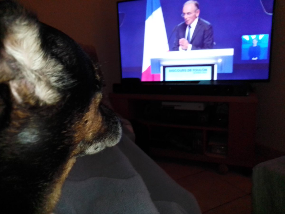 🇨🇵 Dédé 🇫🇷♿ tweet media