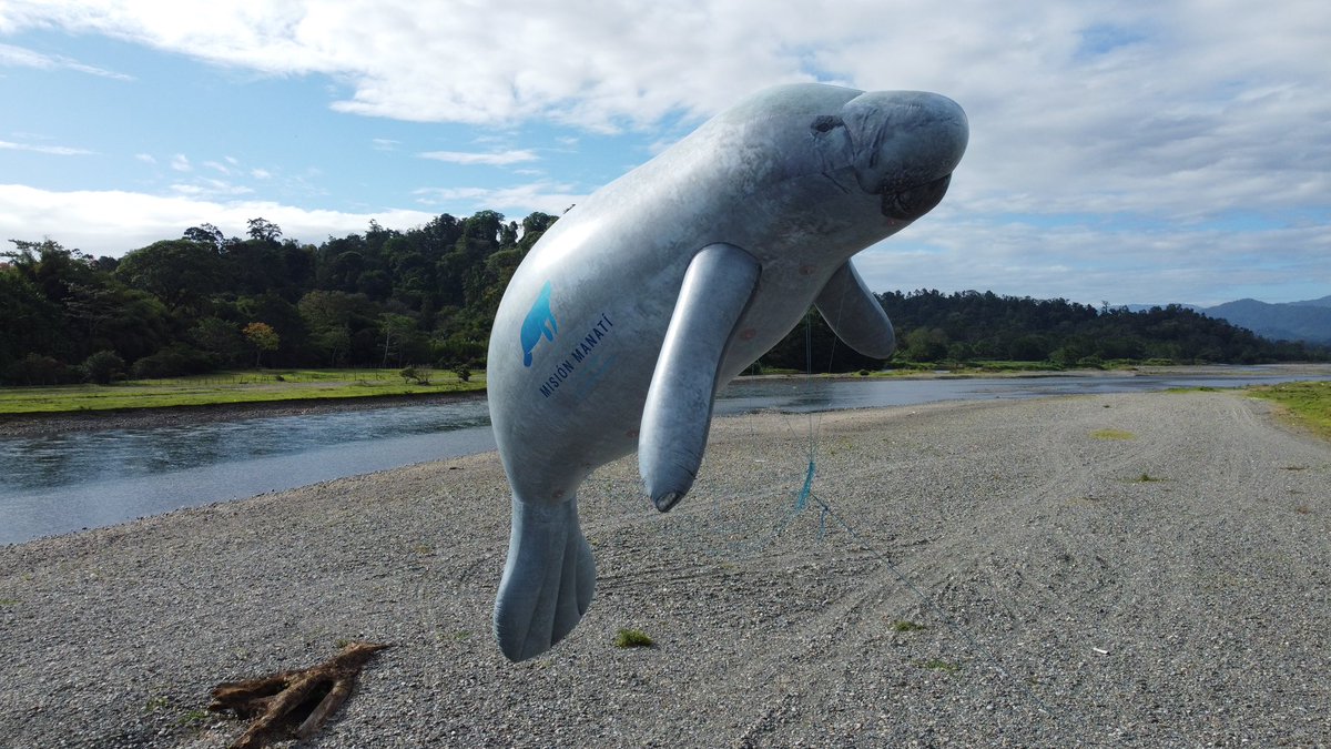 Hector M. Guzman tweet media