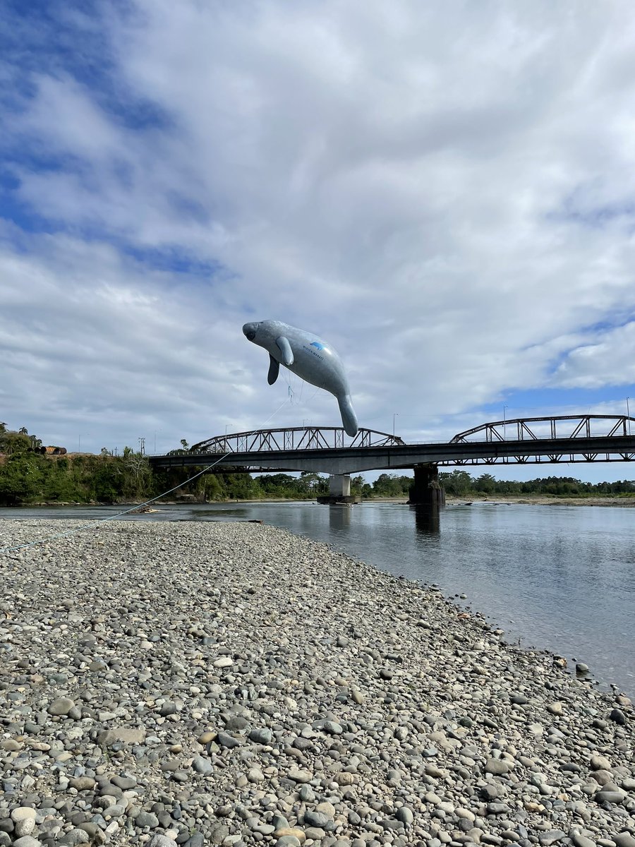 Hector M. Guzman tweet media