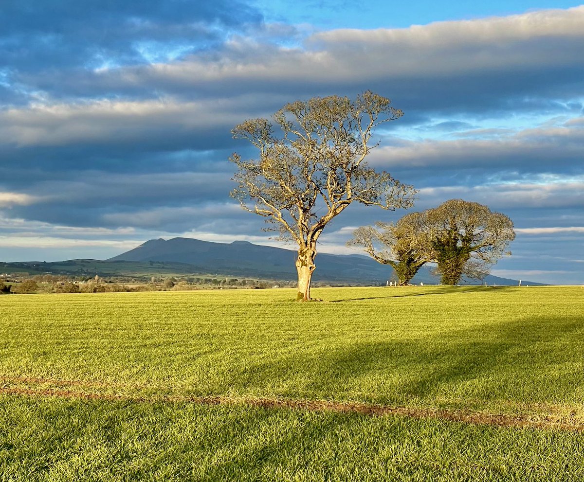 This evening at Farrahy - a view of the Galtees from the west. Mallow-Mitchelstown road. Taken with an iPhone. The quality of these gadgets never ceases to surprise me.