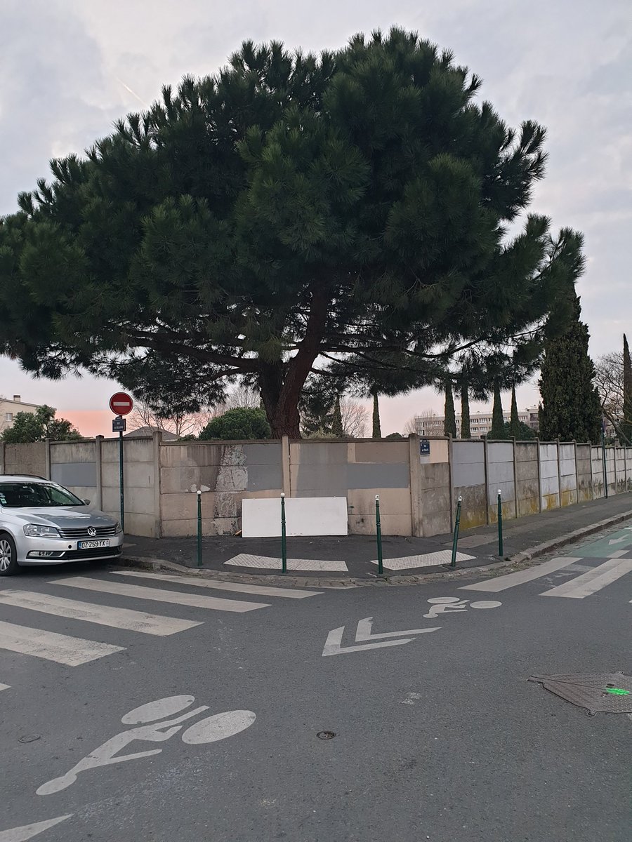 CAbandonnee's tweet photo. Qu'il fait bon cuisiner à l'ombre d'un arbre : #Colombes propose la cuisine de plein air, en plein quartier #Europe
#stopcrotte
#stopcrade
#saccageColombes https://t.co/RNApdLDq8s
