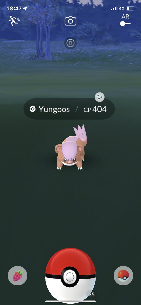 jhehend's tweet photo. Shiny Yumgoos! #pokemongo #WelcomeToAlola #PokemonGoApp https://t.co/Zqmn45phdW