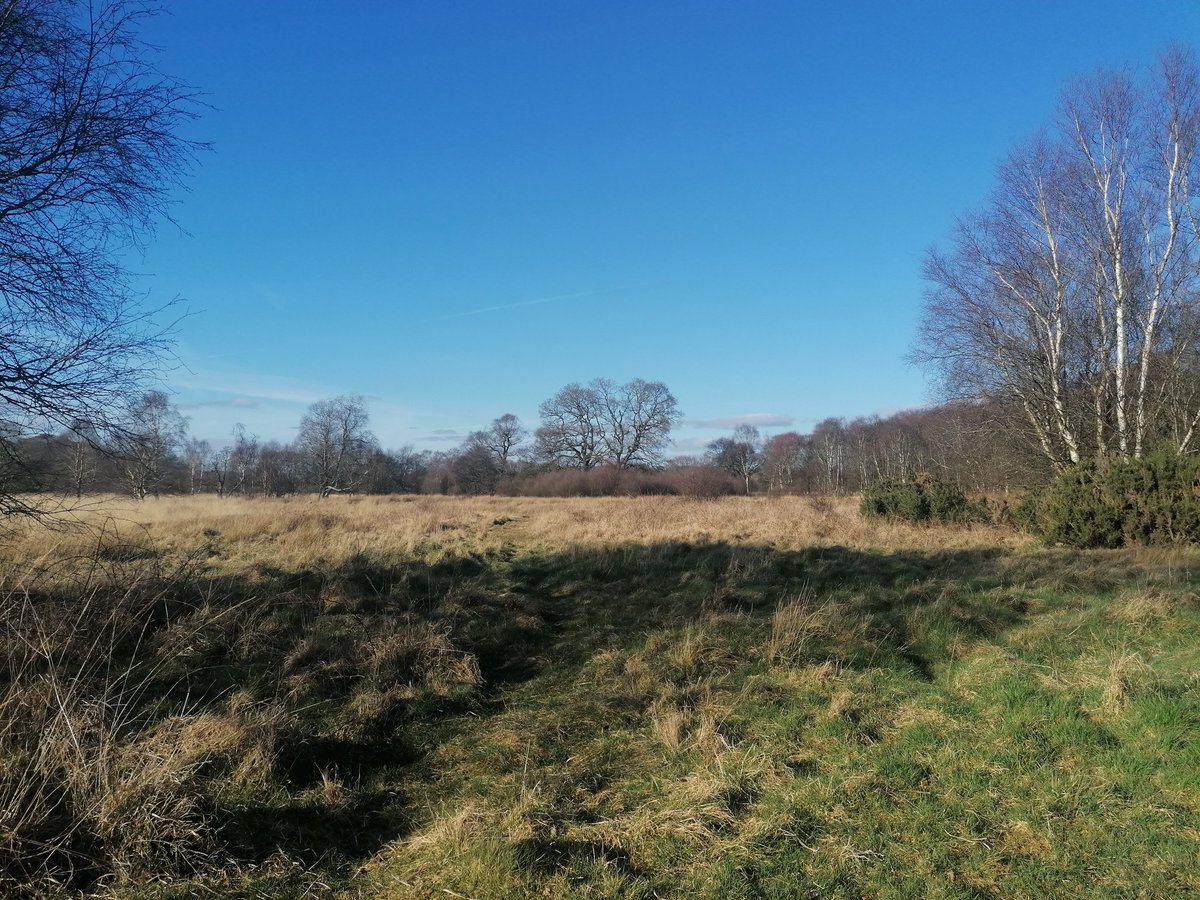 suzi0207's tweet photo. Such a lovely day just had to go a walk. #beautifulD&amp;G https://t.co/YpwOfhR5jE