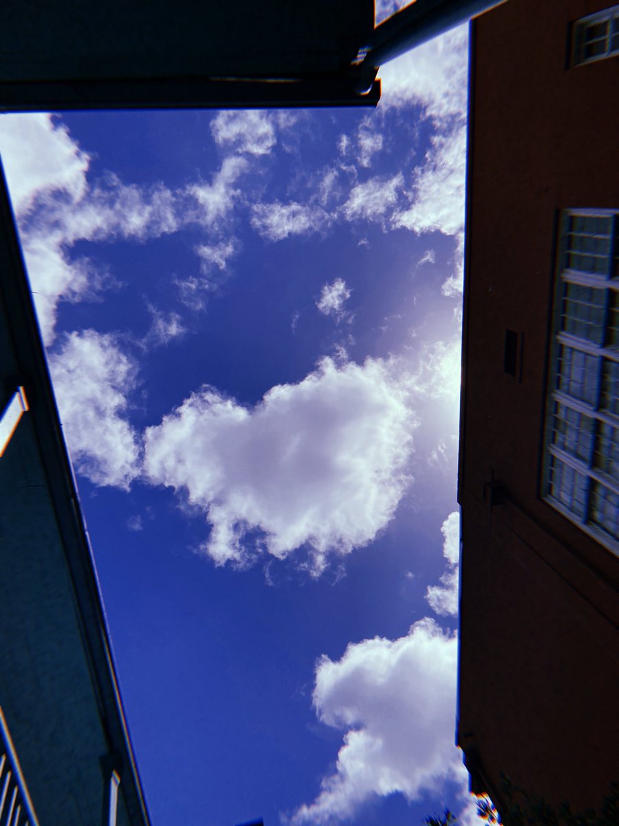 shotbysairyn's tweet photo. Looking up. #nolaskies https://t.co/r7vIjBN6D3