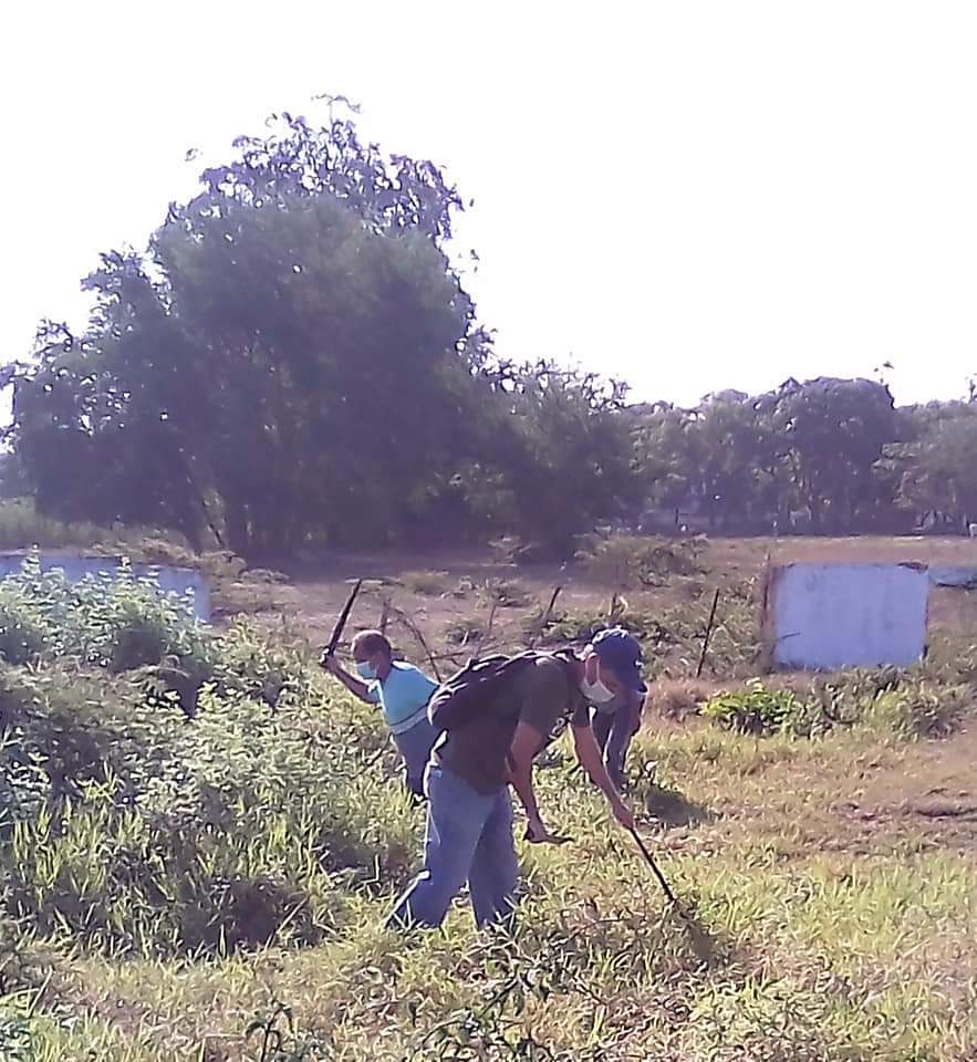 #Cuba En saludo a la Asamblea Provincial de #BalancePCC en Pinar del Río, a celebrarse el próximo 11 de marzo, miembros del Buró Provincial del PCC realizan este domingo una jornada de trabajo voluntario #CubaVive #UnidadYContinuidad