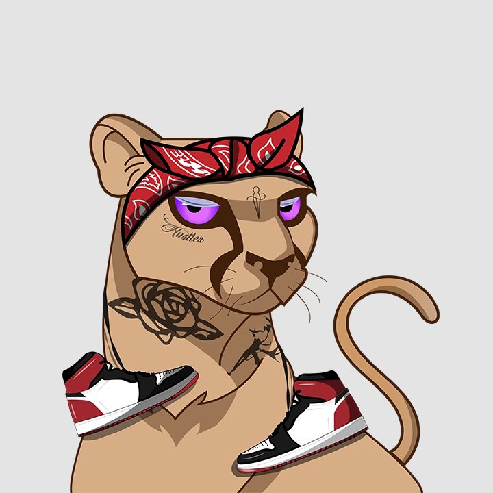 Random Cat tweet media