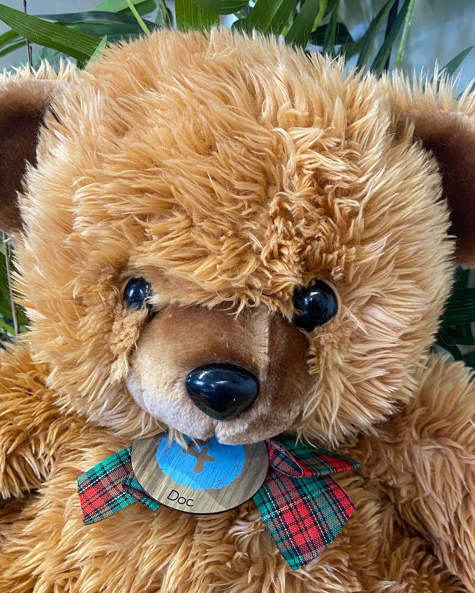shop4lh's tweet photo. Hello @TheoPathetis I have a fabulous Adopt a Teddy service @shop4lh saving teddies from a landfill and would be so grateful for your help and advice to help my business  thrive #SBS https://t.co/7LS03bnQE8