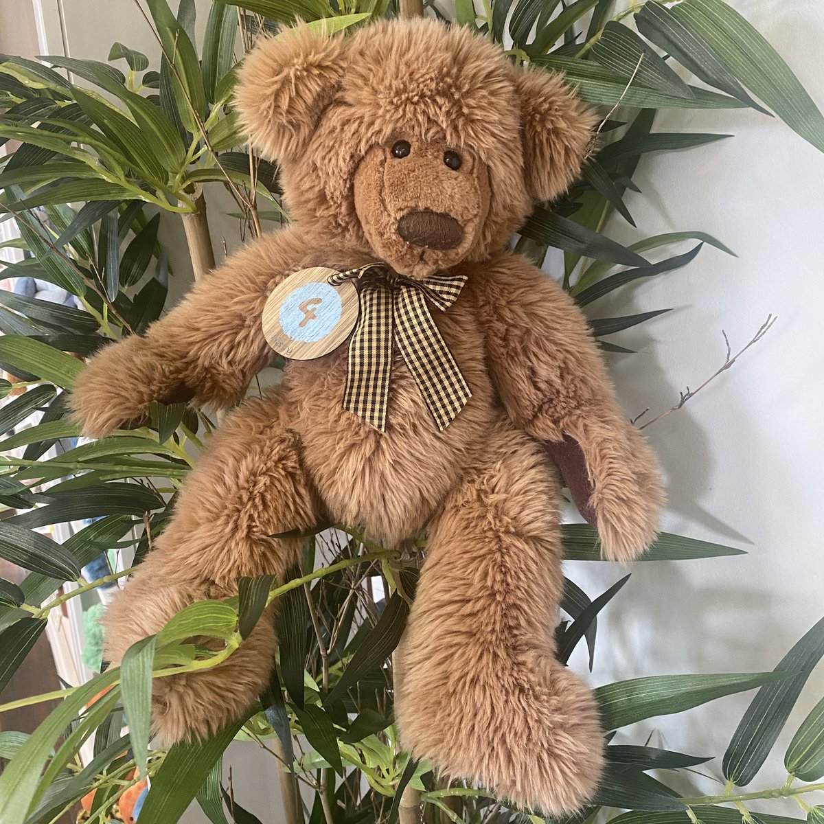 shop4lh's tweet photo. Hello @TheoPathetis I have a fabulous Adopt a Teddy service @shop4lh saving teddies from a landfill and would be so grateful for your help and advice to help my business  thrive #SBS https://t.co/7LS03bnQE8