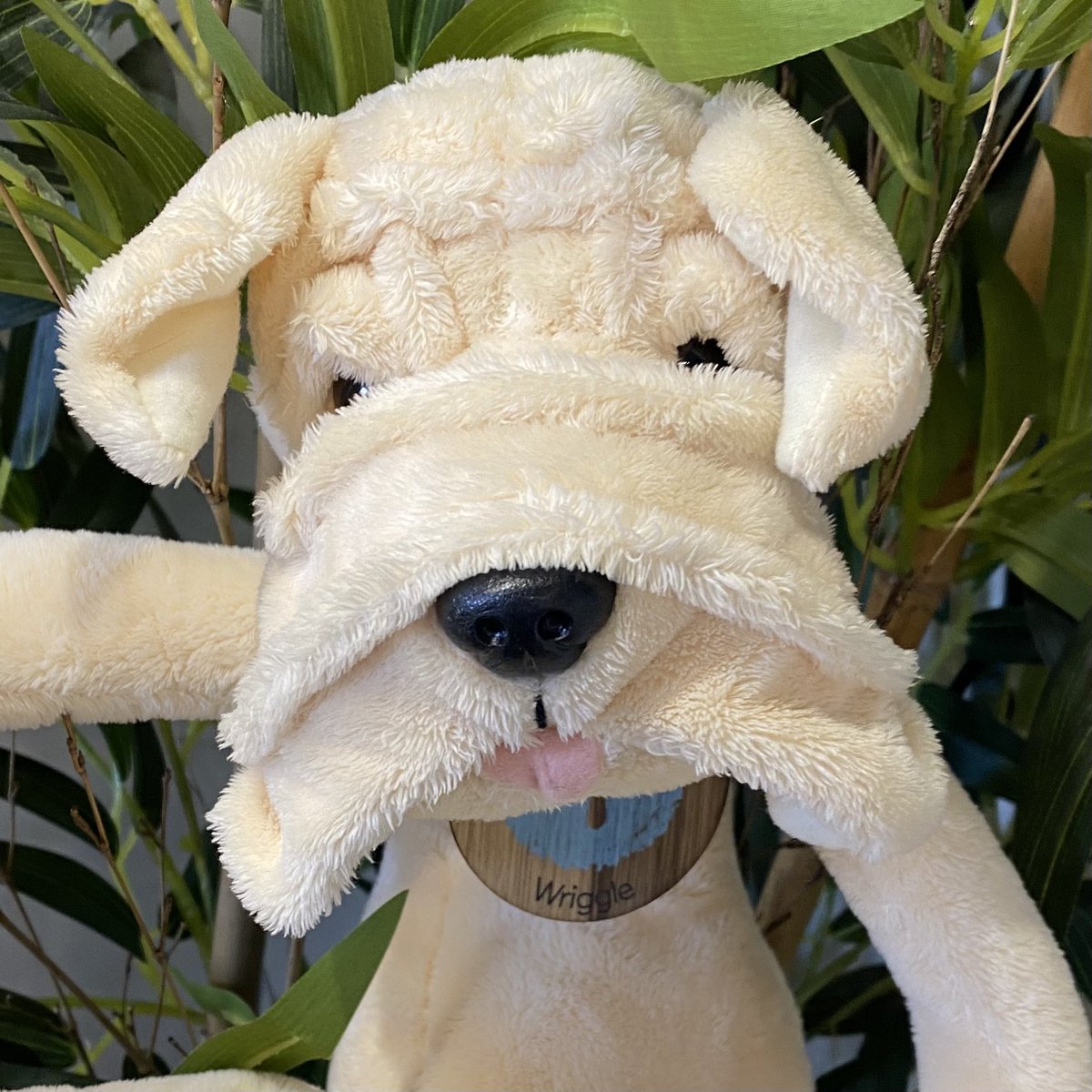 shop4lh's tweet photo. Hello @TheoPathetis I have a fabulous Adopt a Teddy service @shop4lh saving teddies from a landfill and would be so grateful for your help and advice to help my business  thrive #SBS https://t.co/7LS03bnQE8