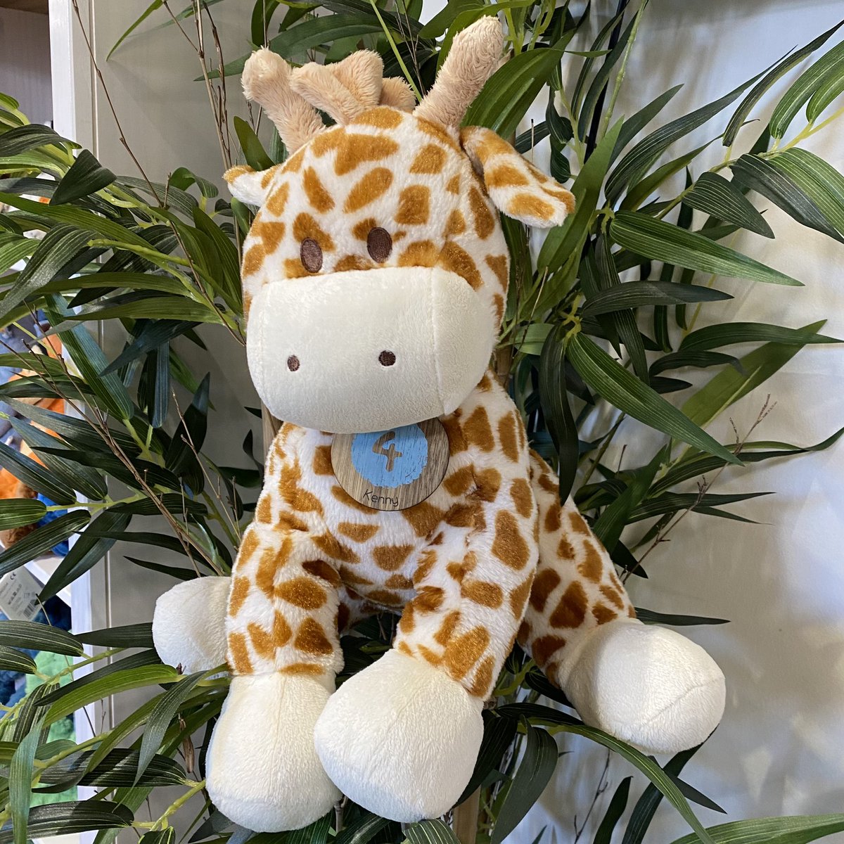 shop4lh's tweet photo. Hello @TheoPathetis I have a fabulous Adopt a Teddy service @shop4lh saving teddies from a landfill and would be so grateful for your help and advice to help my business  thrive #SBS https://t.co/7LS03bnQE8
