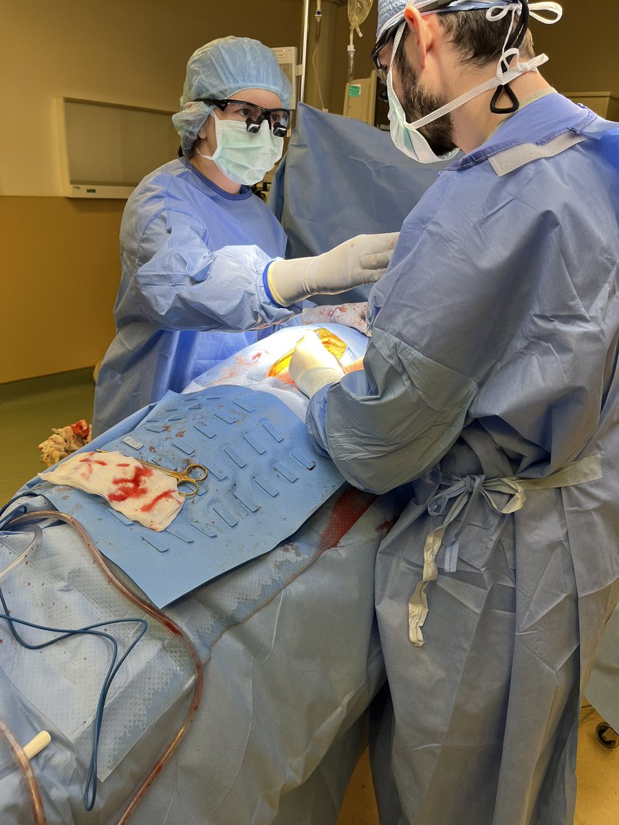 BellomoTiffany's tweet photo. Interrupting my PGY2 from closing to look at the camera #surgeryintern vibes. Thanks for the grand tour of Southern New Hampshire @MGHVascular and showing me where to find all the Diet Coke for @AnahitaDua @MGHSurgery https://t.co/GETH0e6lY7
