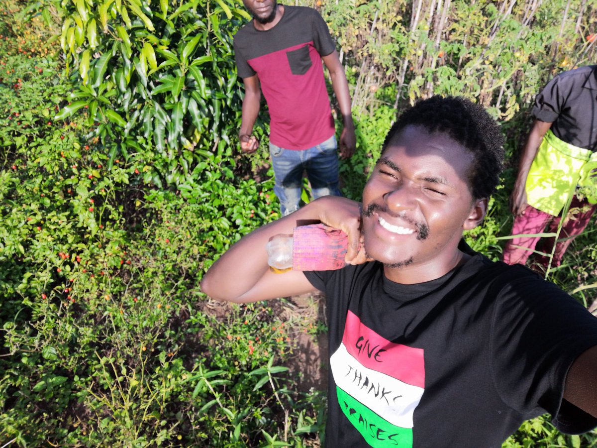 Good time ndi mlimi wa tsabola