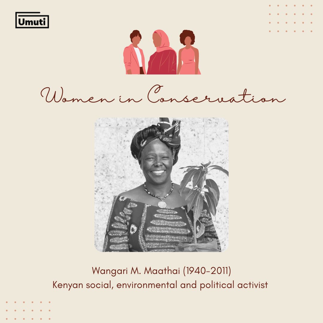 UMUTI_RW's tweet photo. Wangari M. Maathai (1940-2011) was a Kenyan social, environmental and political activist and the first African woman to win the Nobel Peace Prize. She founded the the Green Belt Movement and to this day this movement has planted over 45 million trees across Kenya to combat (1/2) https://t.co/kVQnNWBGCs