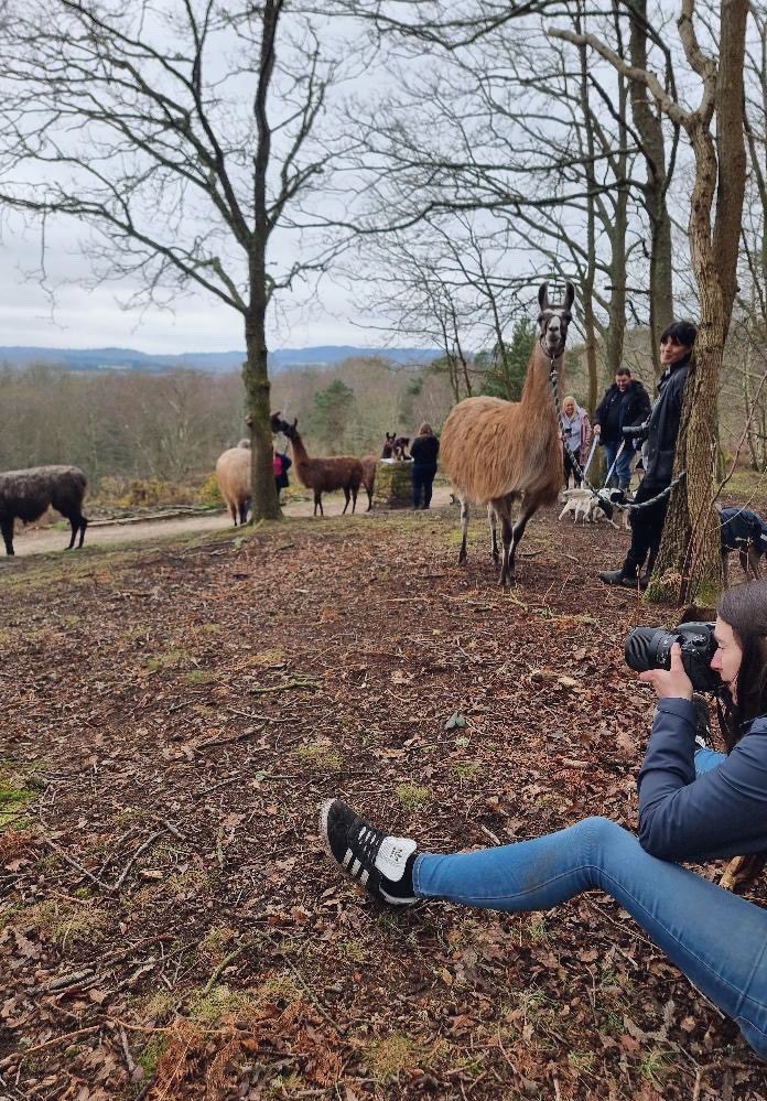 Loki The Dalmatian tweet media