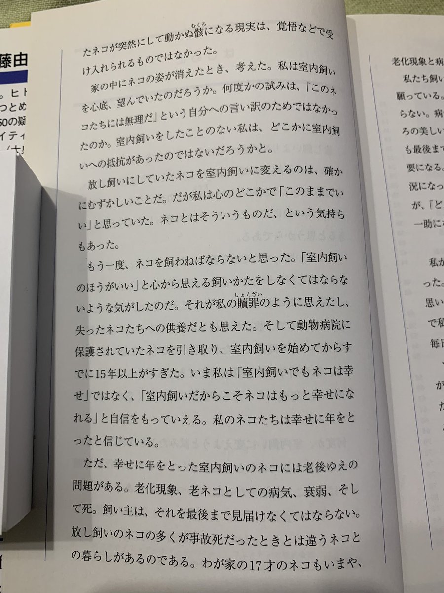 harufoot's tweet photo. BOOK・OFFで何気なく手に取った加藤由子 著｢ネコを長生きさせる50の秘訣｣の『はじめに』を多く方々、特に放し飼いをされている方に届くこと切に願って。

放し飼いより室内飼いのほうがネコを幸せにできると思っている。事故や病気から守れるからという意味ではない。室内飼いのほうが飼い主との絆が https://t.co/0f7SDFAUhA