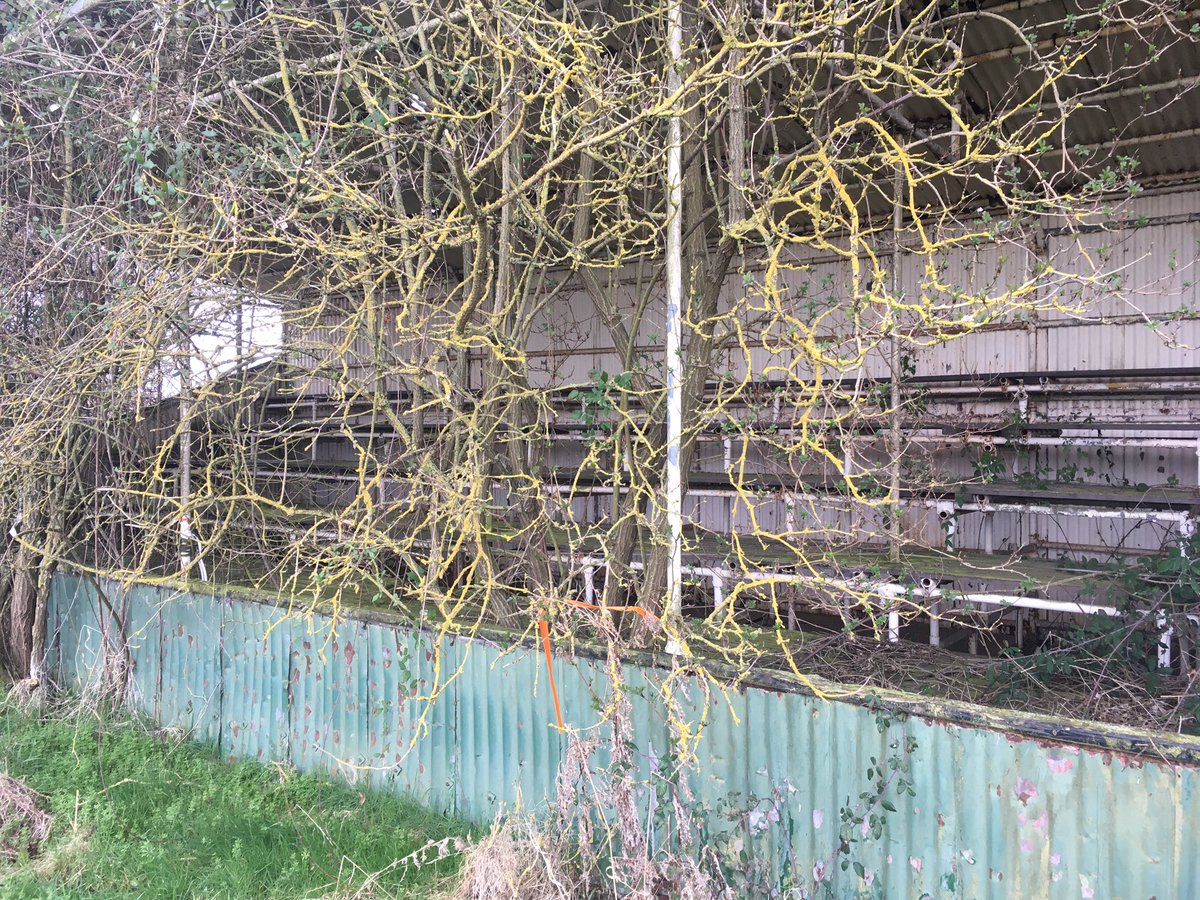 getsomechalk's tweet photo. Abandoned grandstand in a field near Launton. #footballarchaeology https://t.co/5o3tEFk6E7