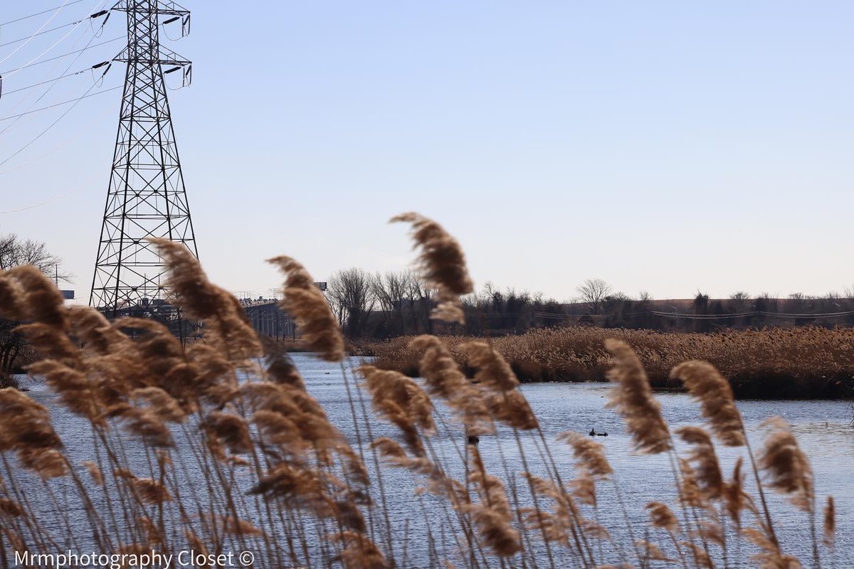 ClosetMrm's tweet photo. “Scenery Photography” #photooftheday #photo #photography #photographylovers #photographer #canon #2k22 #outdoor #landscape #NewJersey #life #nature #canon https://t.co/bSCaXob9CP