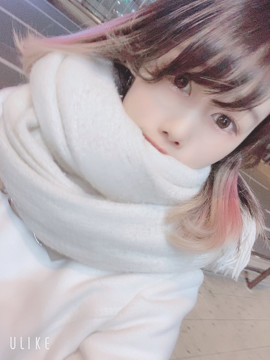 🌙ごま🐟 tweet media