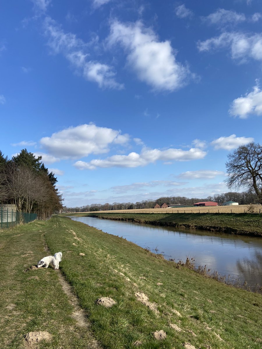 belden_trixi's tweet photo. Wenn deine Lieblingsstrecke durch den arg gewindbeutelten Wald führt, hast du als Bonus prima Parcourstraining. 1 Hund als Sparringpartner gefällt das. #keeponrunning #trainingsstart #kannnurbesserwerden #aberwetterwartoll https://t.co/ewcpY68M78