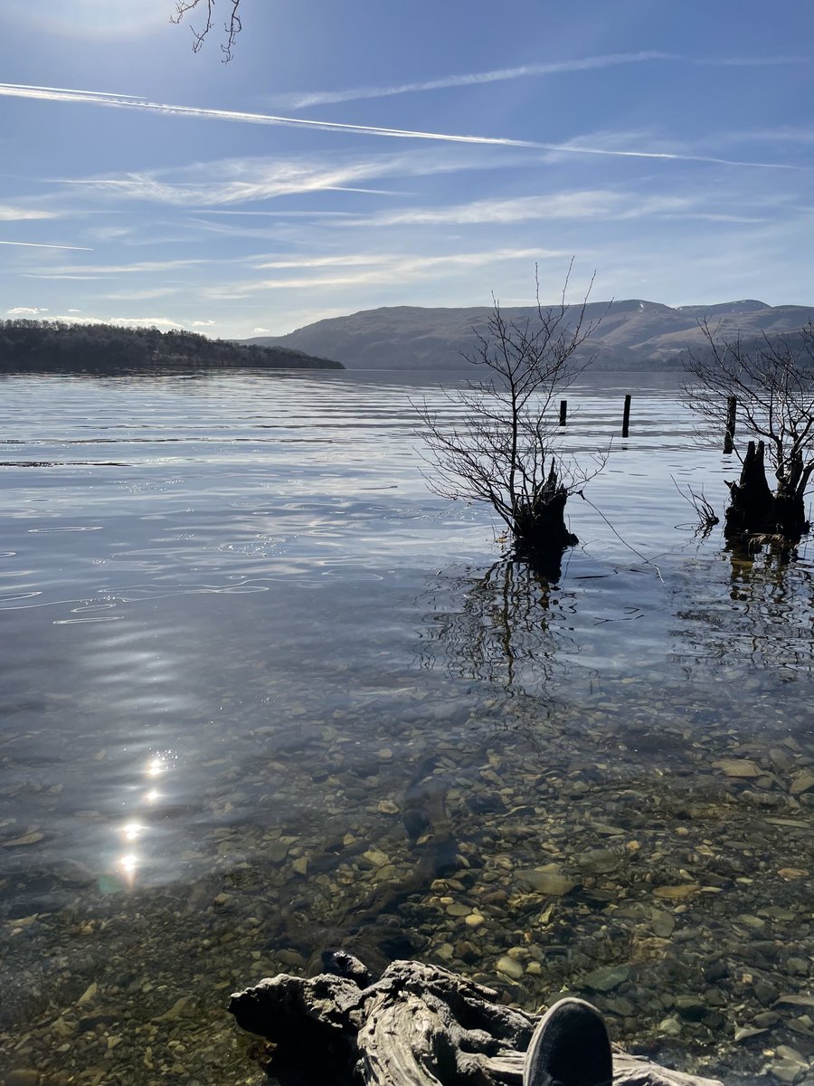 JenCurran6's tweet photo. Sunday lunch #lochlomond 😍 https://t.co/ZiEty7XrFh