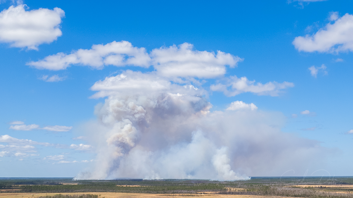 NSC_Photography's tweet photo. March 5, 2022.  #BerthaSwampRoadFire.  . https://t.co/IKJrzfqmFa