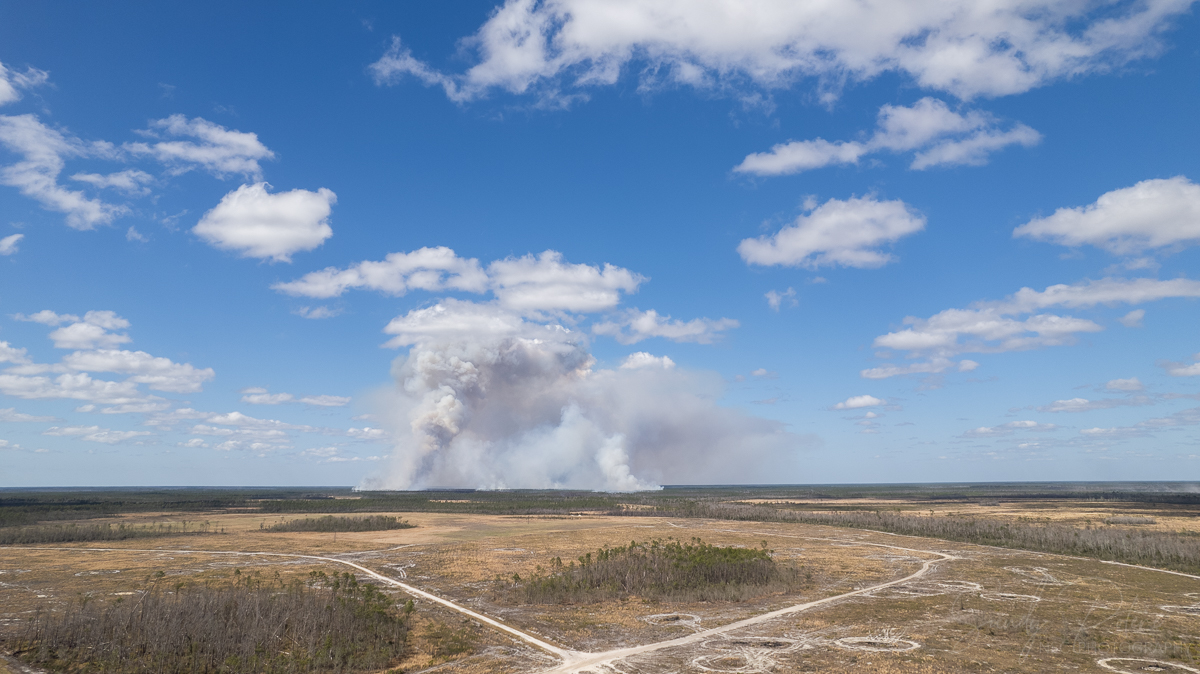 NSC_Photography's tweet photo. March 5, 2022.  #BerthaSwampRoadFire.  . https://t.co/IKJrzfqmFa
