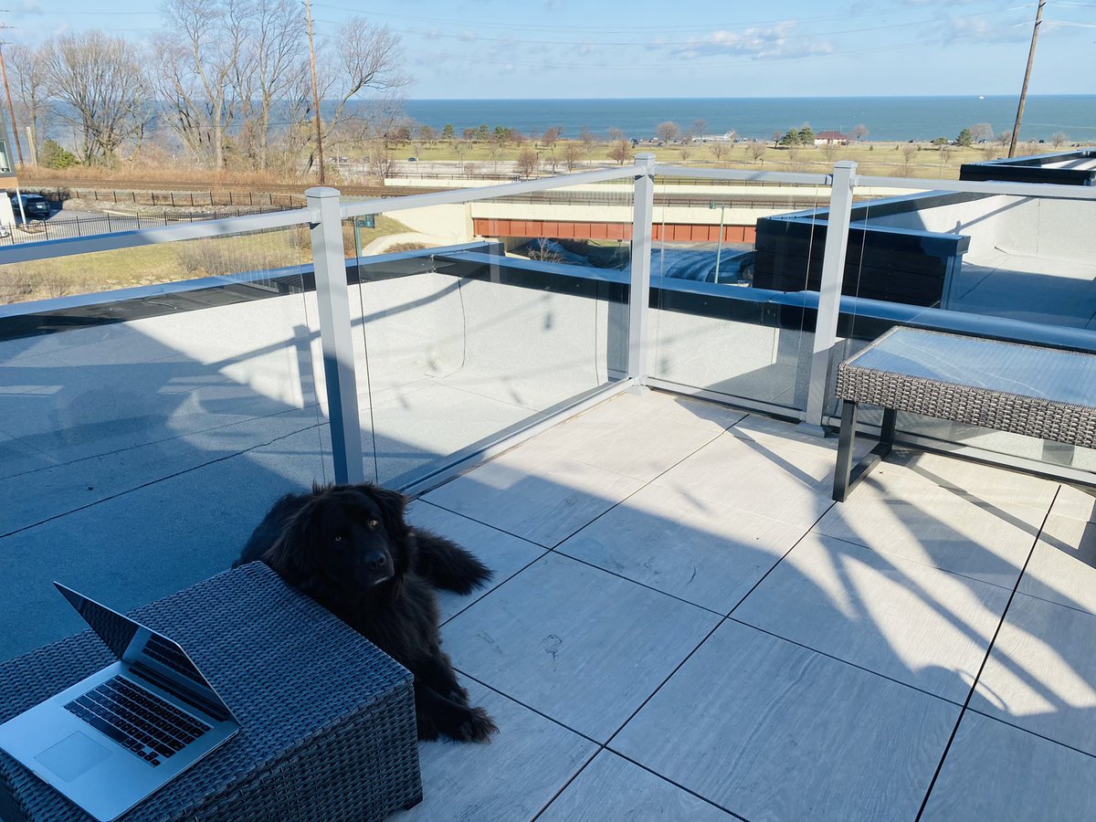 Bingmer's tweet image. If anyone is looking for Bethany or me today, you know where to find us. #FirstSpring #NorthCoast #RoofNewf