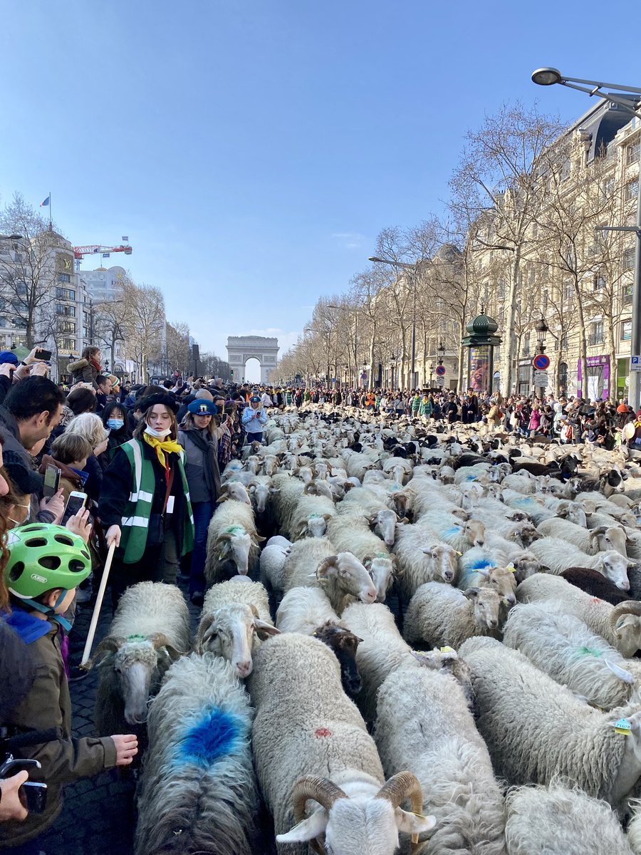 g_dutheil's tweet photo. En direct des Champs-Élysées avec les  #FoliesBéarnaises ! https://t.co/UBMAYmBAFy