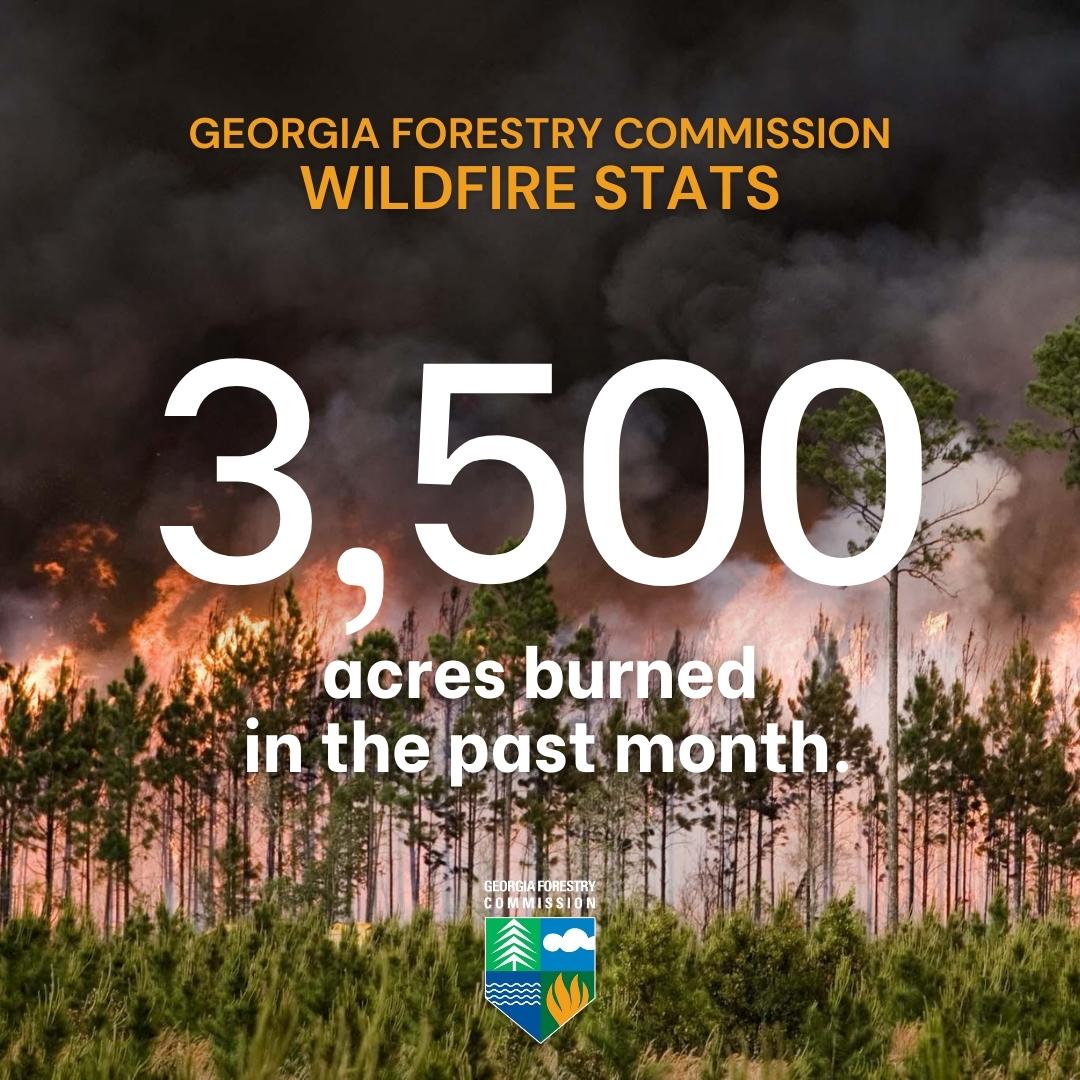 GAForestryCommission tweet media