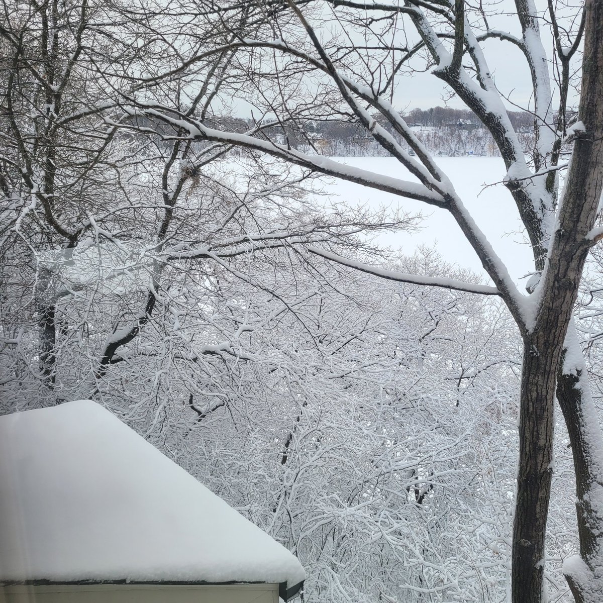 "No winter lasts forever, no spring skips its turn"
#halborland #karyagiyorhayatima #selimileri