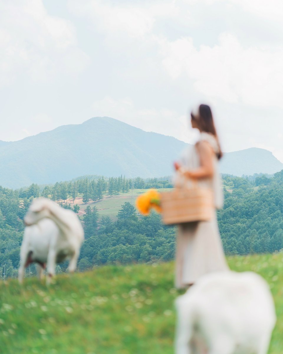 Gm☀️ Hope you all have a wonderful day! 
#photography #NFTphotographers #NFTCommunity