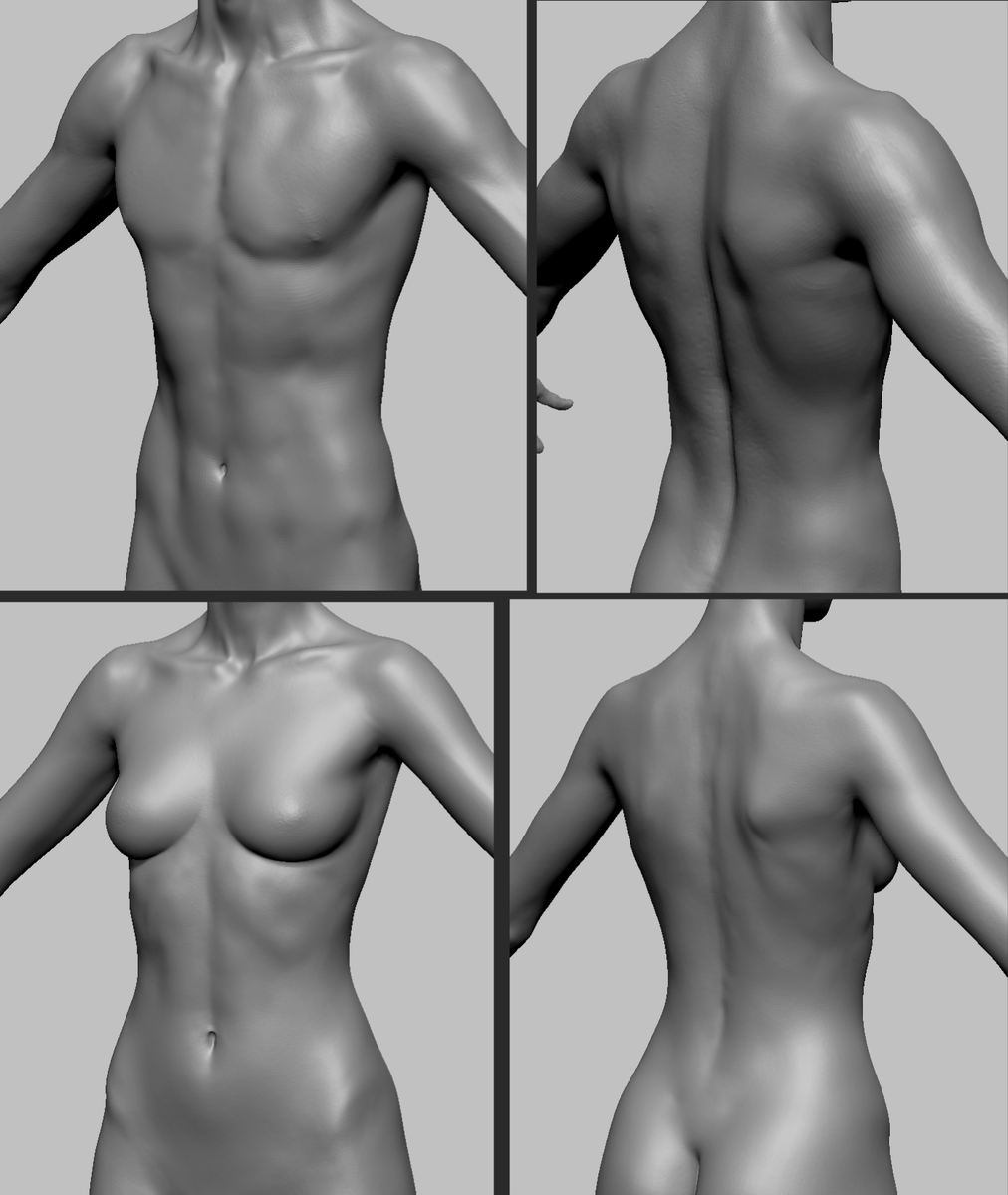 he_licon's tweet photo. WIP 3

#Anatomy #art #virtual #nft #Metaverse https://t.co/QOMK1ZhMJz