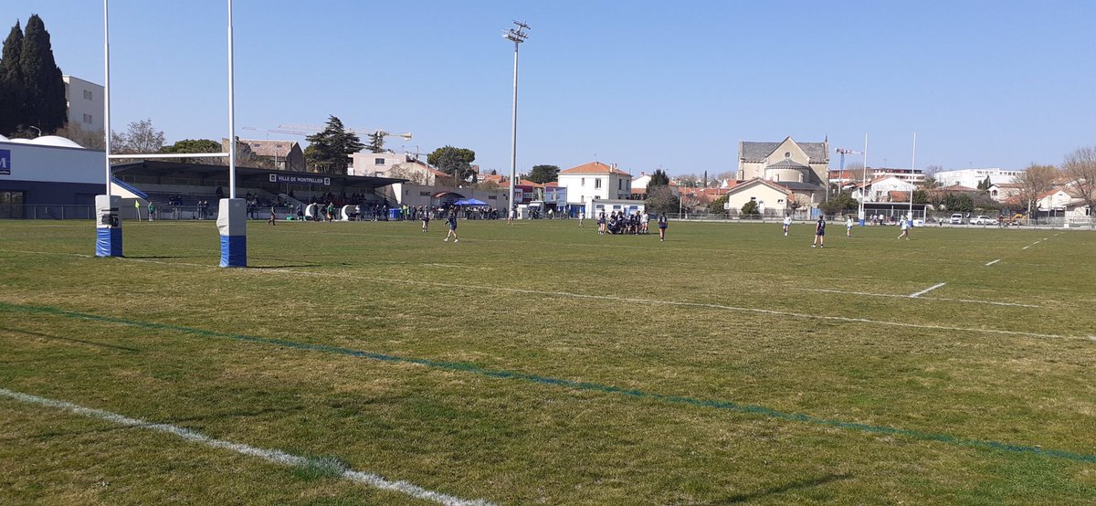 Philippe ODASSO tweet media